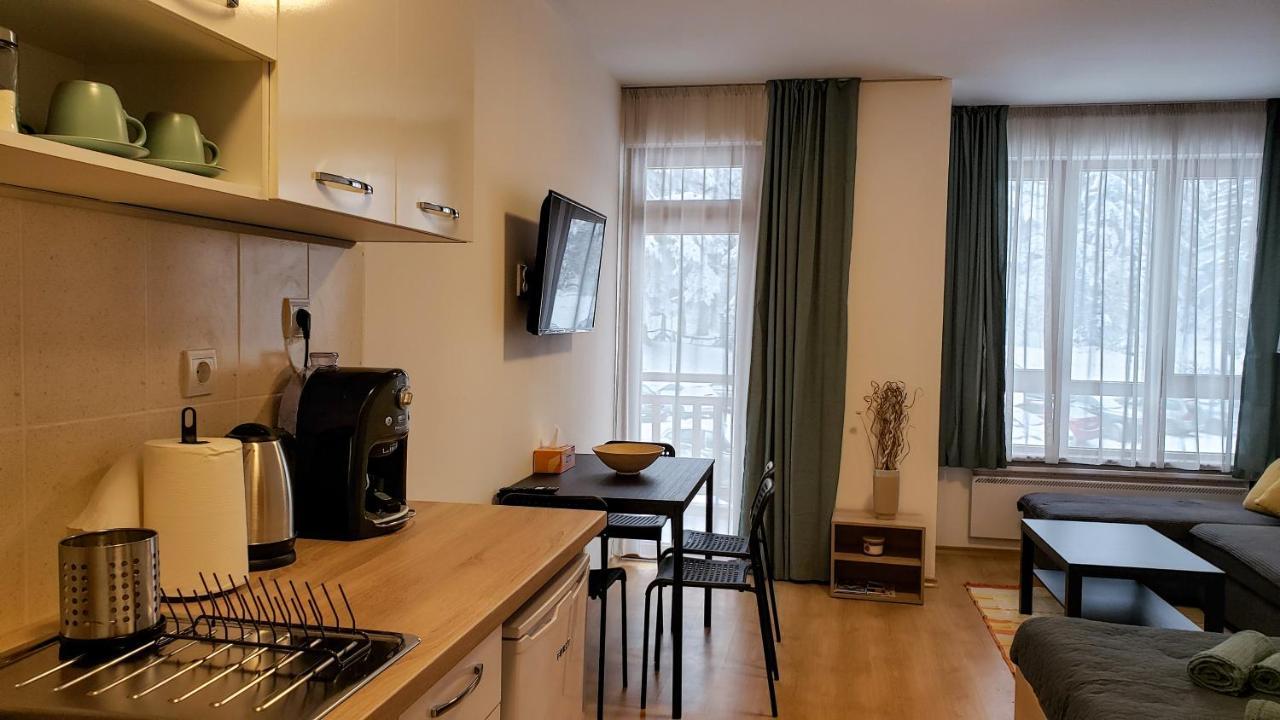 Studios And Apartments - Semiramida Gardens بوروفتس المظهر الخارجي الصورة