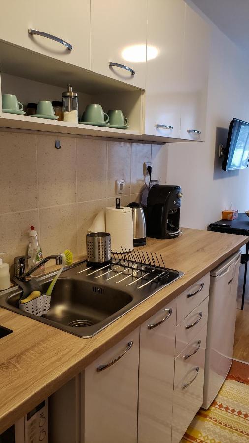 Studios And Apartments - Semiramida Gardens بوروفتس المظهر الخارجي الصورة