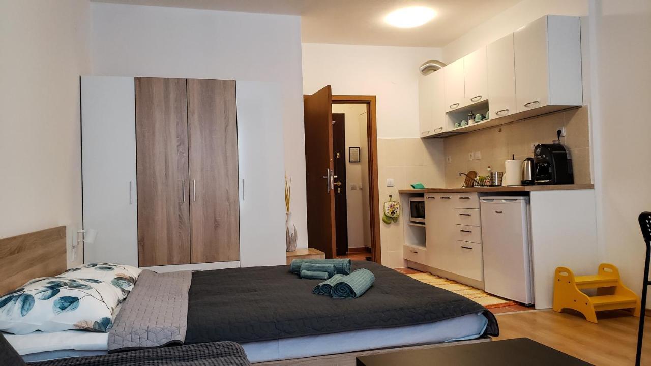 Studios And Apartments - Semiramida Gardens بوروفتس المظهر الخارجي الصورة